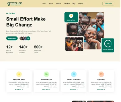 NGO Website Design & Development